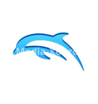 Dolphin Emulator 5.0-21084 free on android