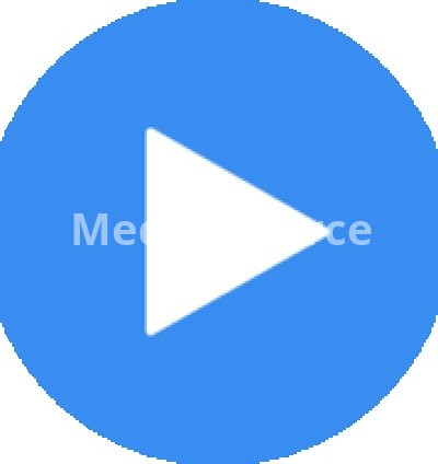 MX Player Pro 1.86.0 free on android