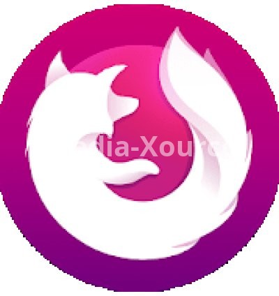 Firefox Focus: The Privacy Browser 8.0.9 free on android