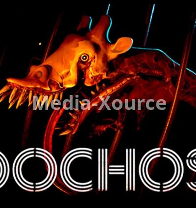 Zoochosis Free Download (v1.63)