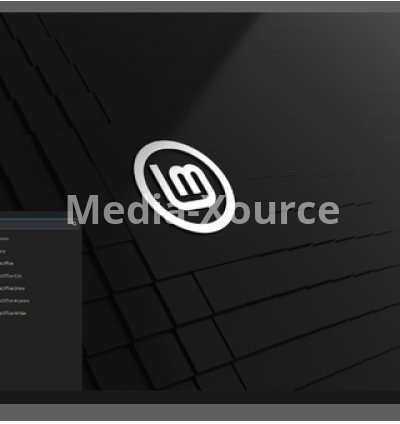 Xia Cinnamon 22.1 Ubuntu Noble