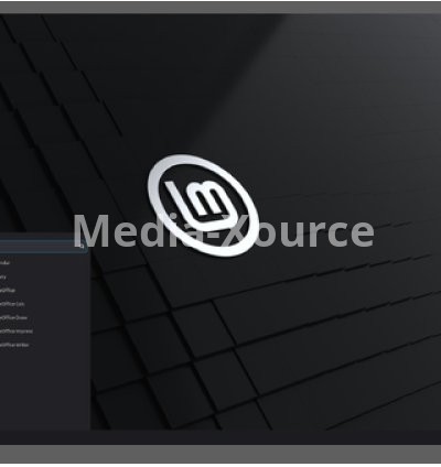 Zara Cinnamon 22.2 Ubuntu Noble