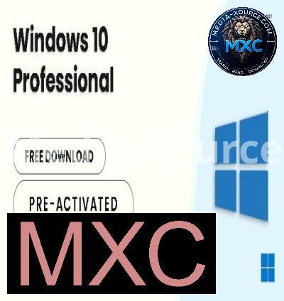 Windows 10 Pro 22H2 build 19045.5131 Preactivated Multilingual November 2024