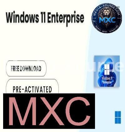 Windows 11 Enterprise 24H2 Build 26100.2314 (No TPM Required) Preactivated Multilingual November 2024