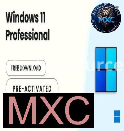 Windows 11 Pro 24H2 Build 26100.3194 (No TPM Required) Preactivated Multilingual February 2025