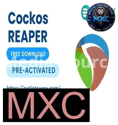 Cockos REAPER 7.48